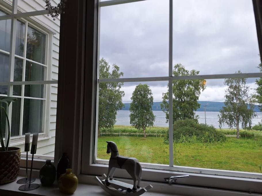 Privat Leilighet Pa Gard Med Badstue Og Nordlys Narvik Exterior photo