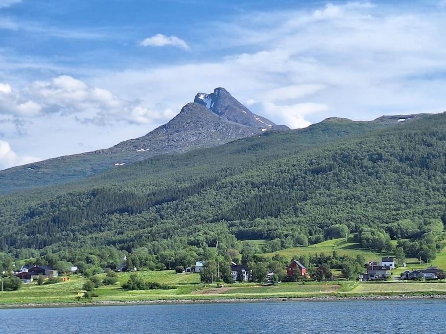 Privat Leilighet Pa Gard Med Badstue Og Nordlys Narvik Exterior photo